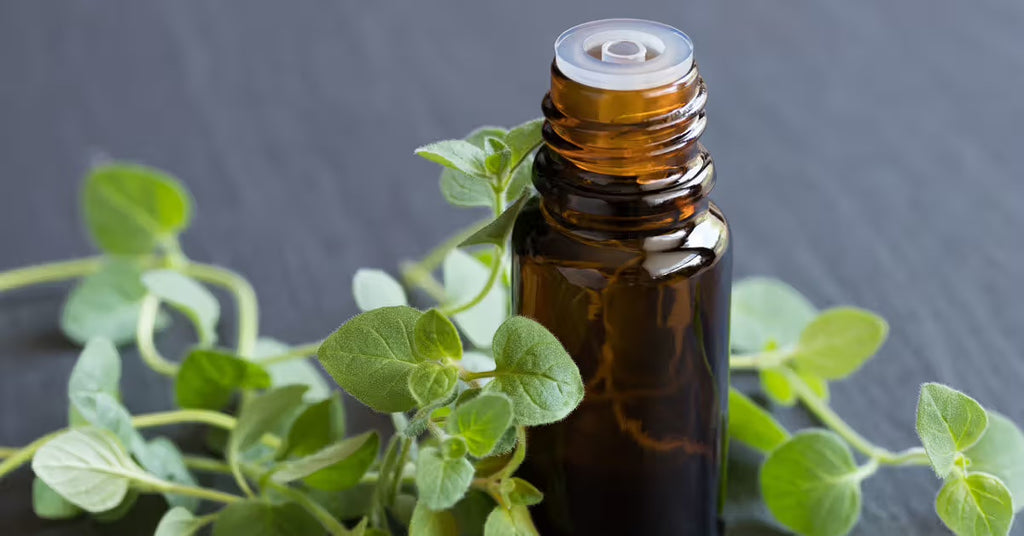 Oregano Oil Must Have!