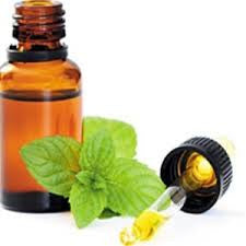 Peppermint Essential Oil