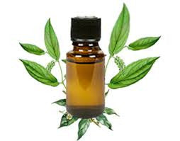 Camphor Essential Oil helps relieve Bronchitis, Colds and More!