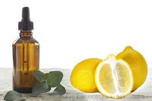 Lemon Eucalyptus Essential Oil great for Bronchitis Colds Fever Flu